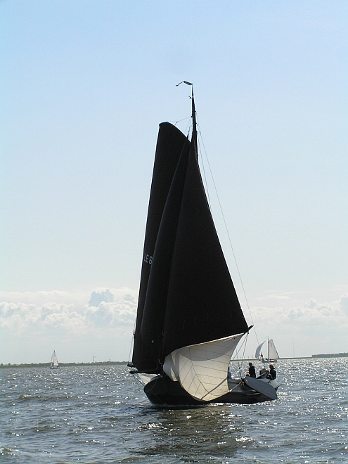 Lemsteraak_Ahoy2008 (209).jpg